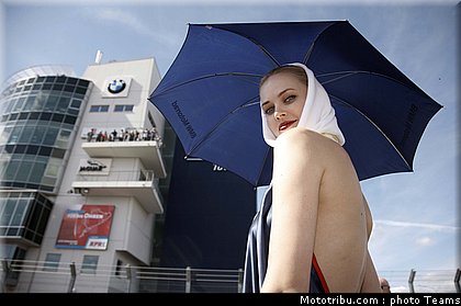 sbk_pitbabes_05_allemagne_2010.jpg