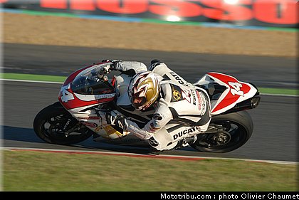 1000stk_baroni_1_france_2010.JPG
