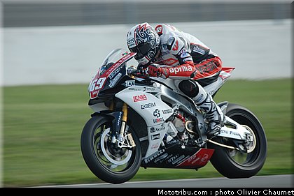1000stk_jezek_france_2010.JPG
