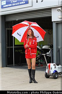 sbk_pitbabes_01_angleterre_donington_2011.JPG