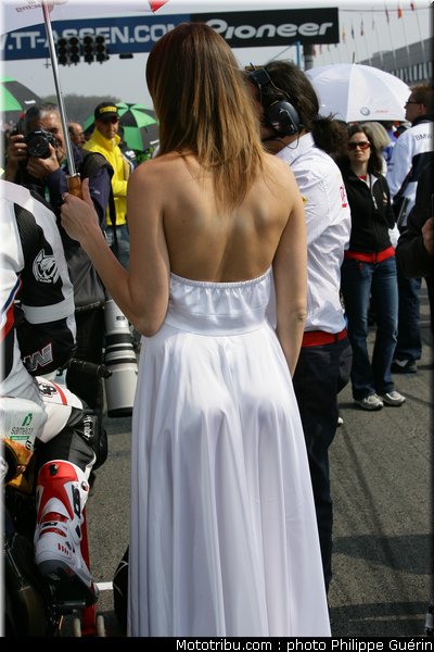 sbk_pitbabes_32_paysbas_2011_assen