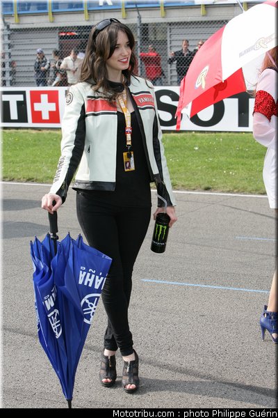 sbk_pitbabes_37_paysbas_2011_assen