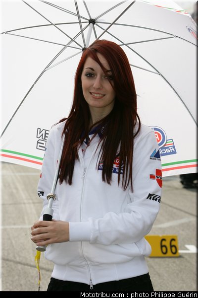 sbk_pitbabes_39_paysbas_2011_assen