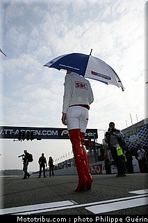sbk_pitbabes_14_paysbas_2011_assen.JPG
