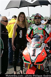 sbk_pitbabes_24_paysbas_2011_assen.JPG