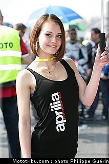 sbk_pitbabes_26_paysbas_2011_assen.JPG
