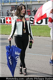 sbk_pitbabes_37_paysbas_2011_assen.JPG