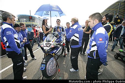sbk_pitbabes_47_paysbas_2011_assen.JPG