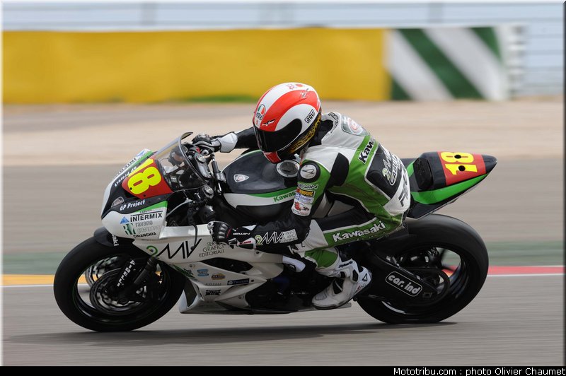 600stk_gamarino_1_espagne_aragon_2011