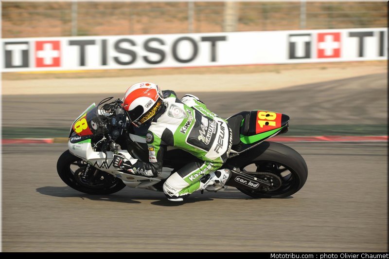 600stk_gamarino_2_espagne_aragon_2011