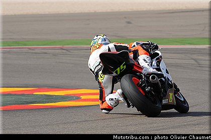 600stk_cocco_2_espagne_aragon_2011.jpg