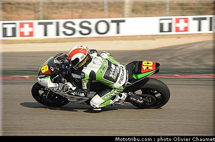 600stk_gamarino_2_espagne_aragon_2011.jpg