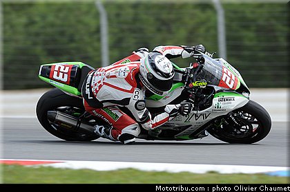 1000stk_verdini_005_republique_tcheque_brno_2011.jpg