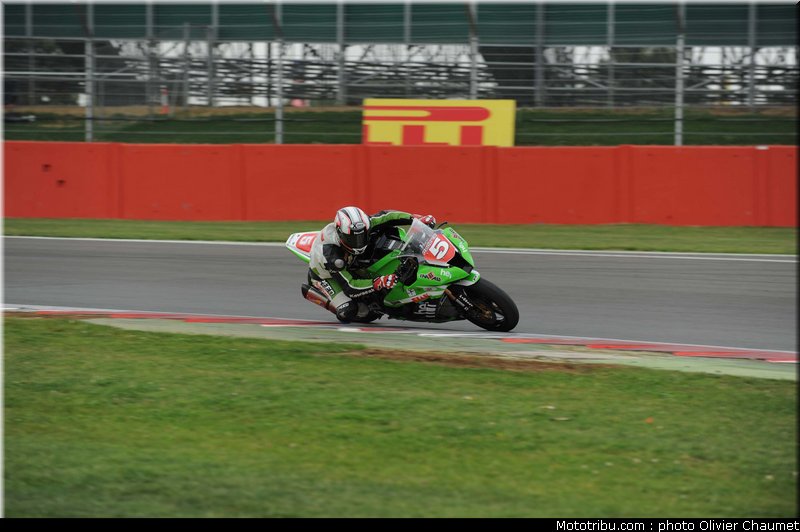 1000stk_bussolotti_005_angleterre_silverstone_2011