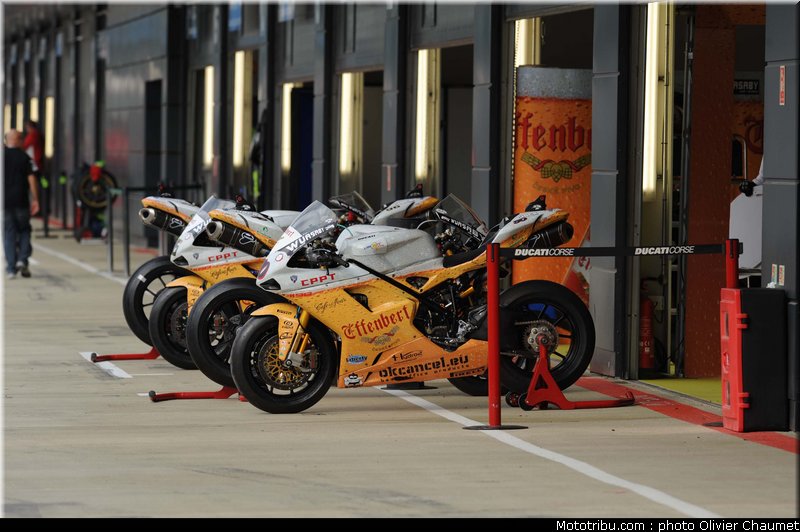 sbk_ambiance_004_angleterre_silverstone_2011