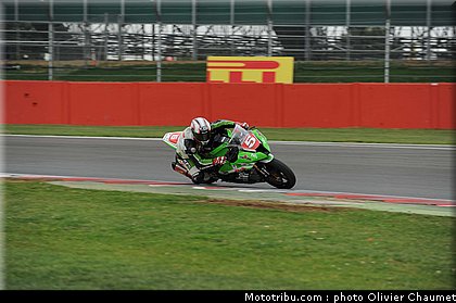 1000stk_bussolotti_005_angleterre_silverstone_2011.jpg