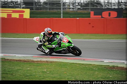 1000stk_staring_002_angleterre_silverstone_2011.jpg