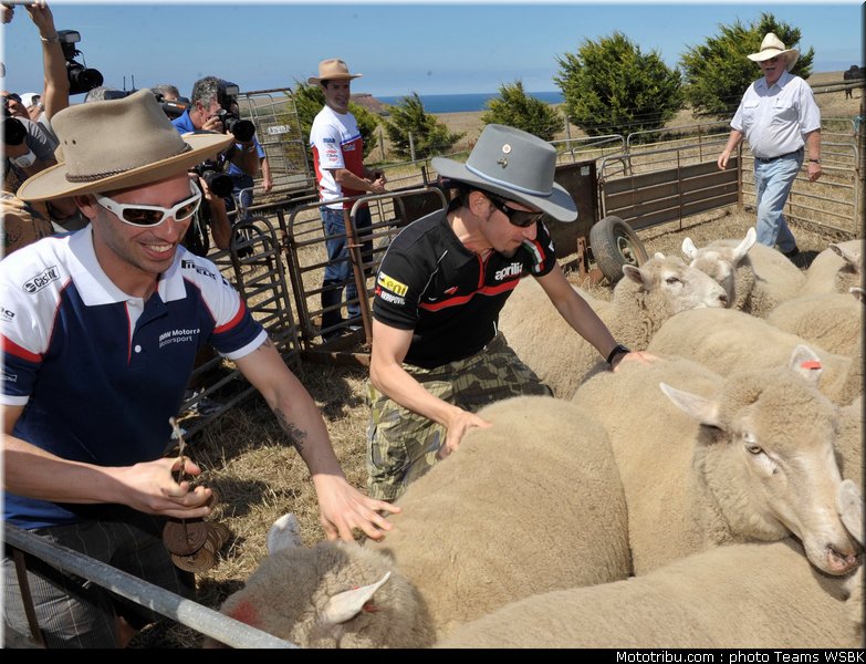 sbk_003_australie_2012_philip_island