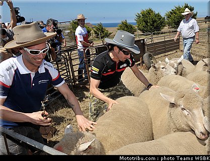 sbk_003_australie_2012_philip_island.jpg