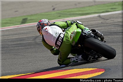 1000stk_staring_003_espagne_aragon_2012.jpg