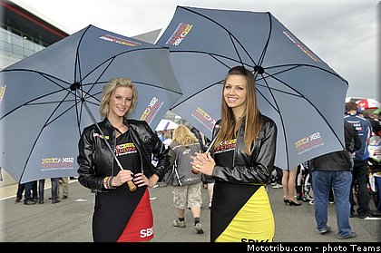 sbk_pitbabe_009angleterre_silverstone_2012.jpg