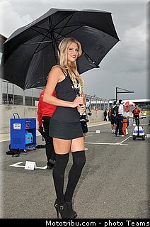 sbk_pitbabe_014angleterre_silverstone_2012.jpg
