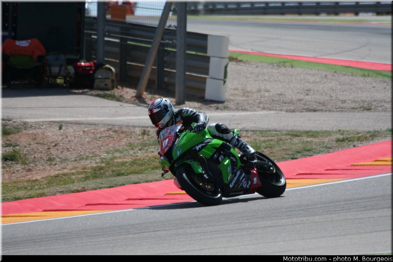 1000stk_guarnoni_002_aragon_2013