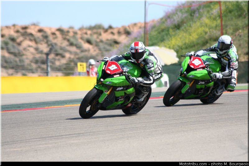 1000stk_guarnoni_007_aragon_2013
