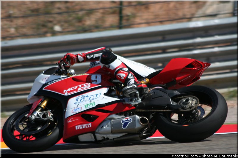 1000stk_jezek_003_aragon_2013