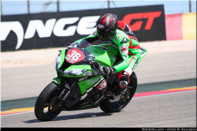 1000stk_mercado_001_aragon_2013