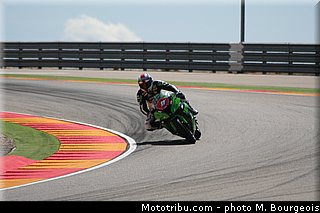 1000stk_guarnoni_001_aragon_2013.jpg