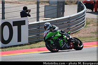 1000stk_guarnoni_003_aragon_2013.jpg