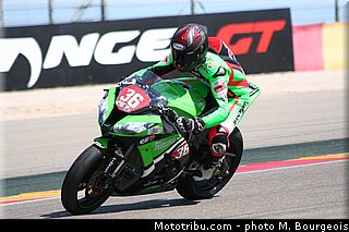 1000stk_mercado_001_aragon_2013.jpg