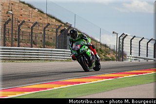 1000stk_savadori_001_aragon_2013.jpg