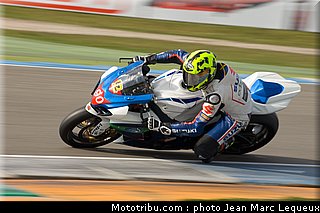 1000stk_ockelfelt_002_pays_bas_assen_2013.jpg