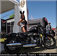 sbk_pit_babe_036_wsbk_2013_italie_monza.jpg