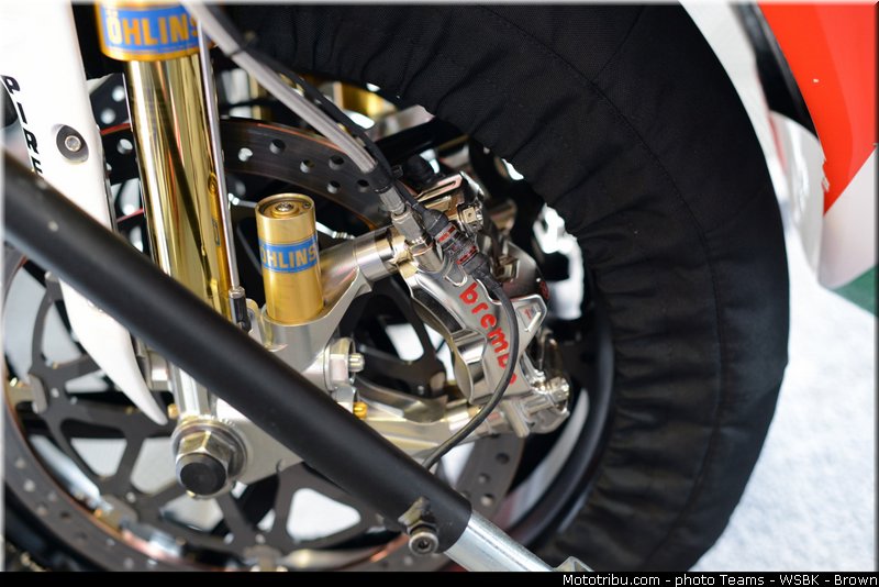 sbk_haslam_017_angleterre_donington_park_2013