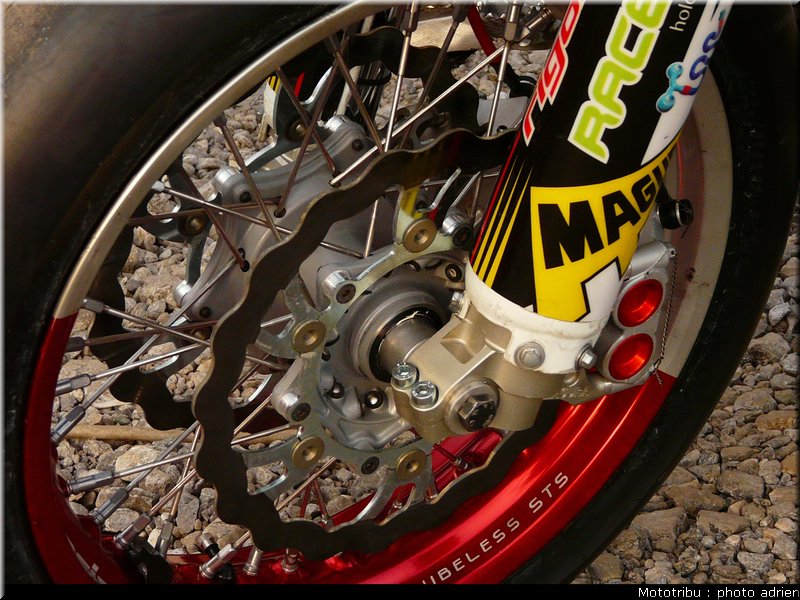 suzuki_davverio_seel_01