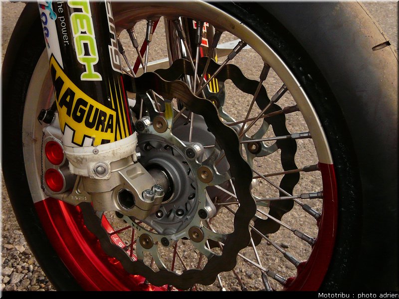 suzuki_davverio_seel_02