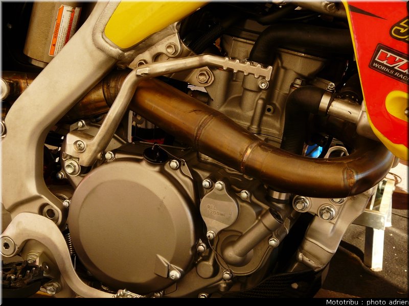 suzuki_davverio_seel_09