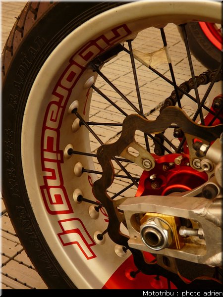 suzuki_davverio_seel_18