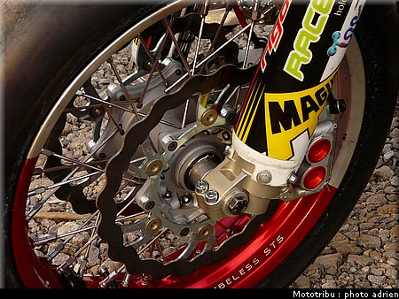 suzuki_davverio_seel_01.JPG