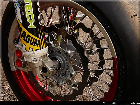 suzuki_davverio_seel_02.JPG