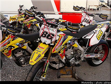 suzuki_davverio_seel_03.JPG