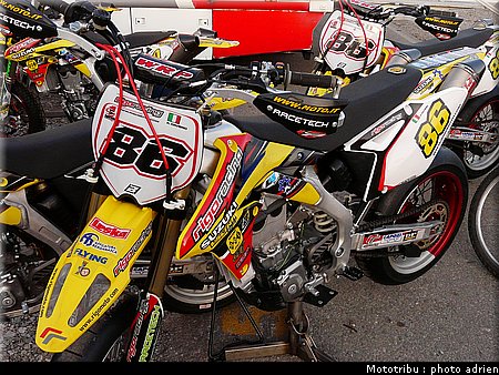 suzuki_davverio_seel_04.JPG