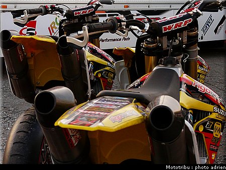 suzuki_davverio_seel_05.JPG