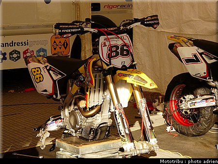 suzuki_davverio_seel_07.JPG