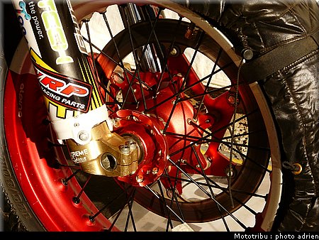 suzuki_davverio_seel_13.JPG