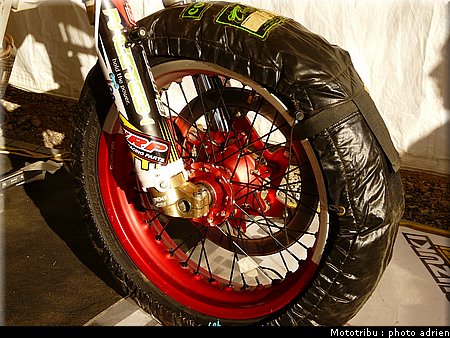 suzuki_davverio_seel_14.JPG