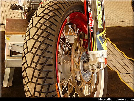 suzuki_davverio_seel_15.JPG